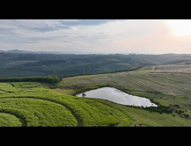 FARM FOR SALE IN MOUNT VERDE